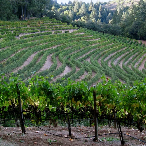 Spring Mountain Vineyard
