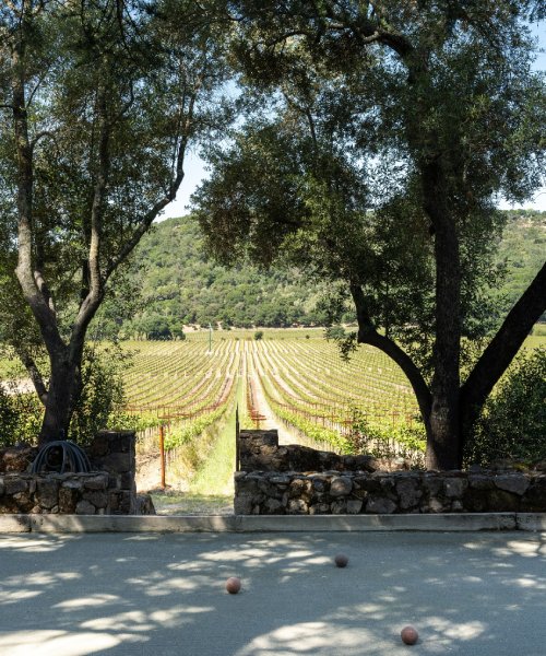 Stags’ Leap Winery