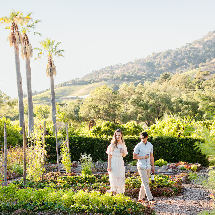 couple walking in the gardens at Stag's Leap Winery