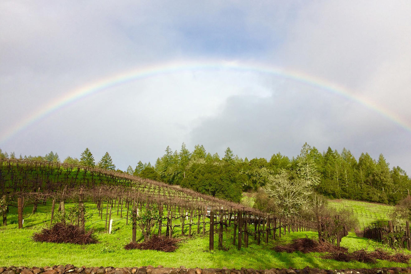 Storybook Mountain Vineyards