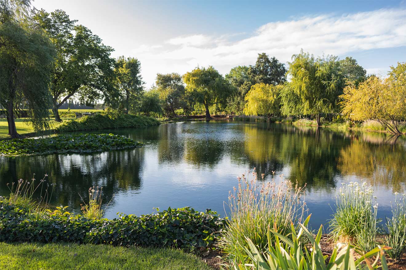 Sullivan Estate Grounds