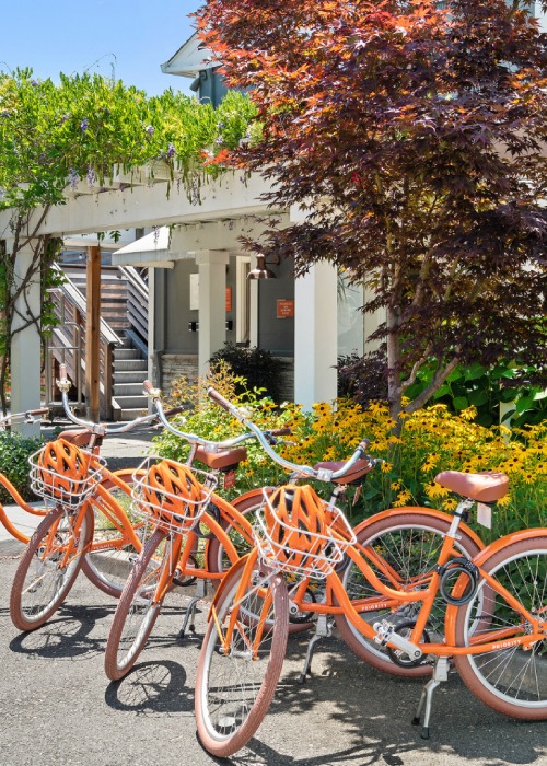 UpValley Inn & Hot Springs