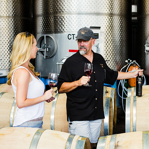 insider wine tasting tour at Tamber Bey Vineyards