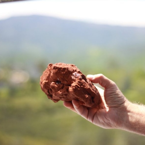 Wild Diamond Vineyards