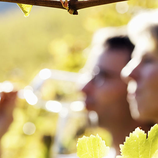 couple drinking white wine surrounded by grape vines