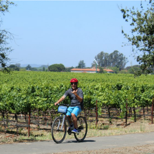 Cycle, Sip N Smile in Carneros