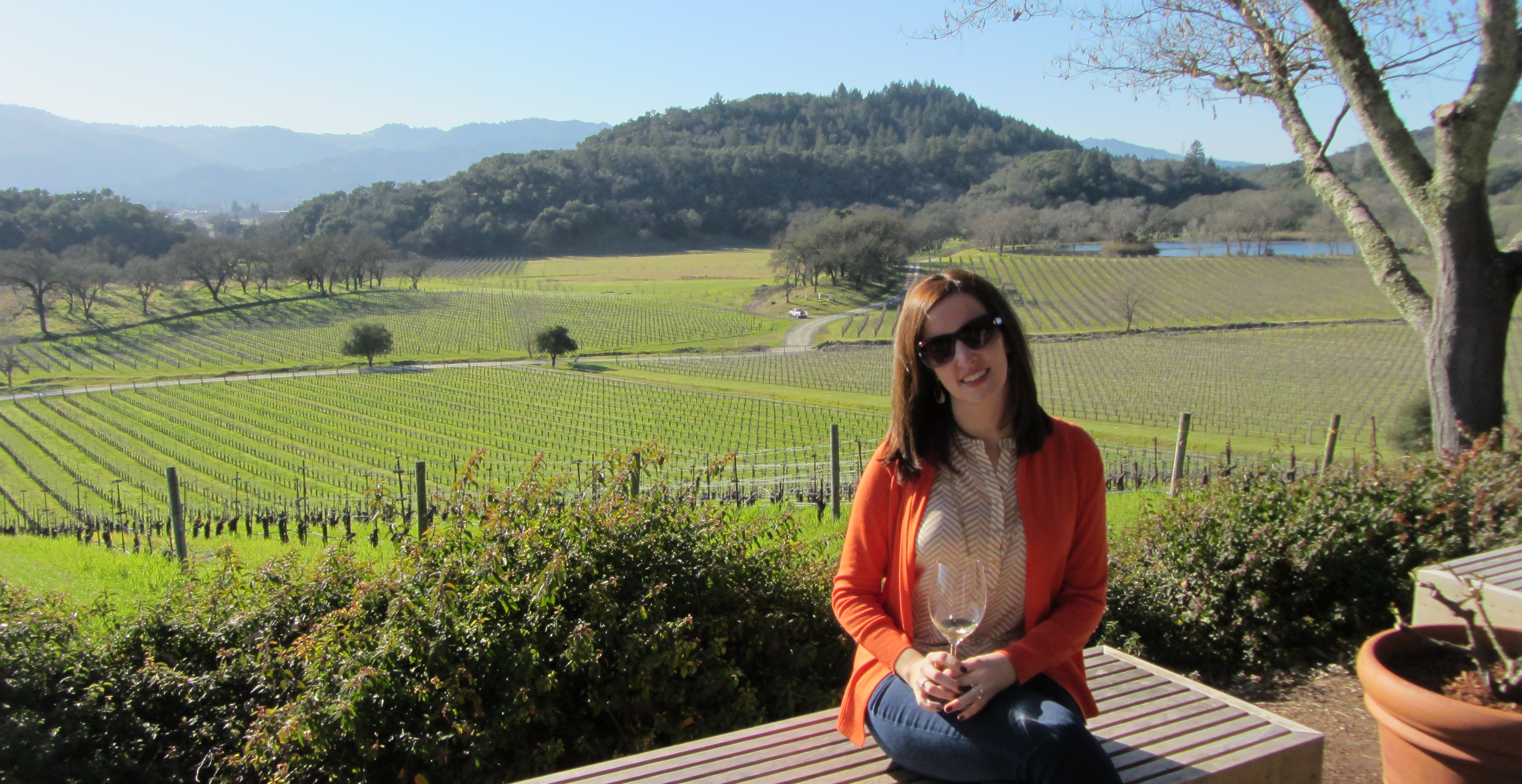 Napa Valley Wine Tasting Round-Up