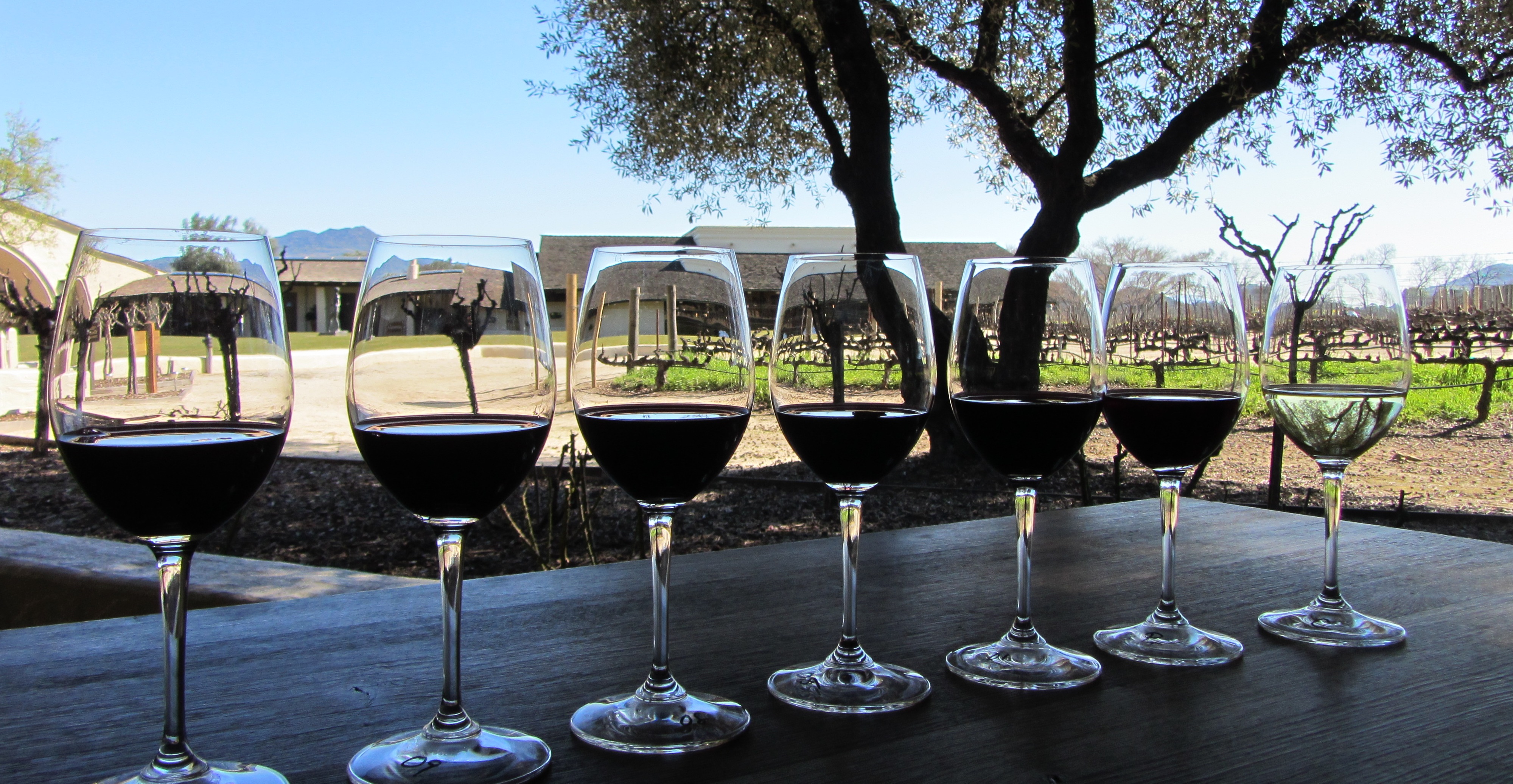 Napa Valley Tasting Round-Up