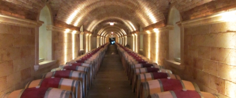 Winery Spotlight: A Virtual Look at Hall Wines New Tasting Center