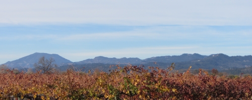 Napa Valley Itinerary – November 2013 Visit